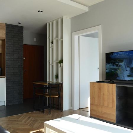 Apartment Sosnowiec City - Free Parking - Easy Check-In エクステリア 写真