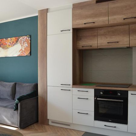 Apartment Sosnowiec City - Free Parking - Easy Check-In エクステリア 写真