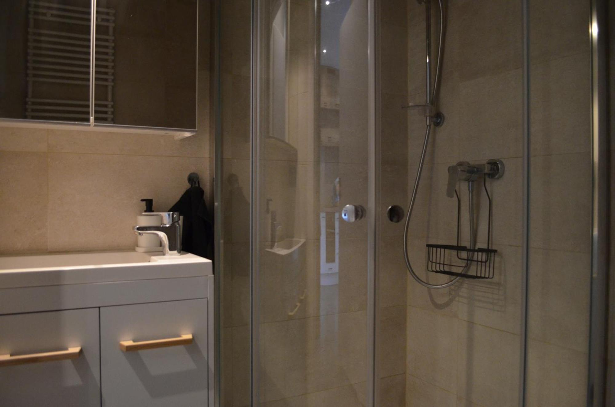 Apartment Sosnowiec City - Free Parking - Easy Check-In エクステリア 写真